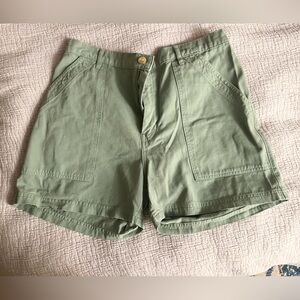 Big Bud Press Sage Green Work Shorts -L